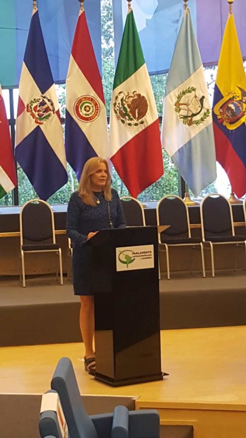 María Soledad Vela participa en Seminario Regional sobre los Objetivos de Desarrollo Sostenible (ODS).