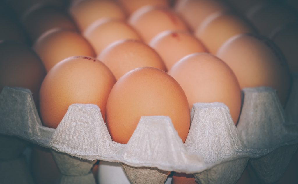 Alimentos reguladores, formadores y energéticos,  infaltables en las loncheras escolares