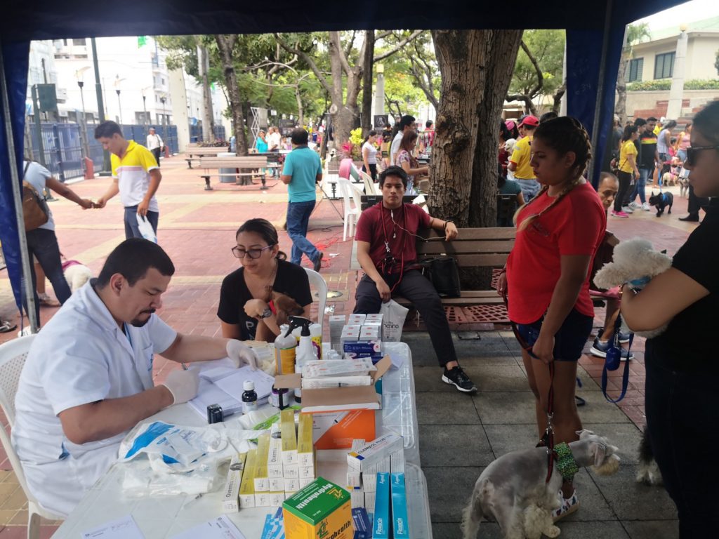 LOS MALECONES DE LA CIUDAD ABREN SUS PUERTAS A LAS MASCOTAS DOMÉSTICAS