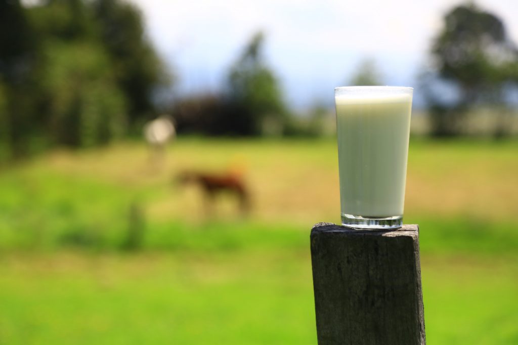 El consumo de lácteos fortalece el sistema inmunológico