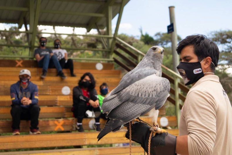 ZOOLÓGICO DE QUITO REABRIÓ SUS PUERTAS AL PÚBLICO ZOOLÓGICO DE QUITO REABRIÓ SUS PUERTAS AL PÚBLICO
